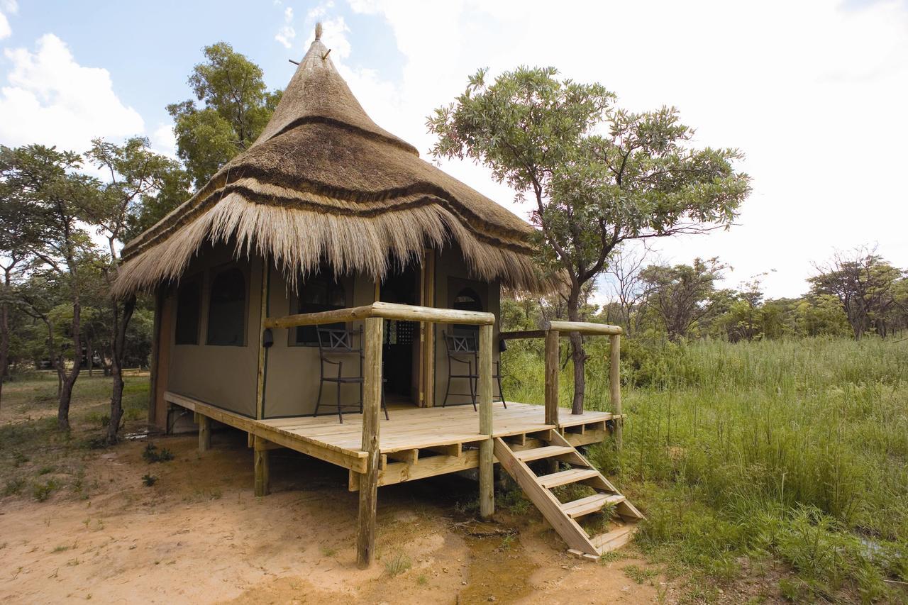 Villa Wildside Safari Camp à Golders Green Extérieur photo