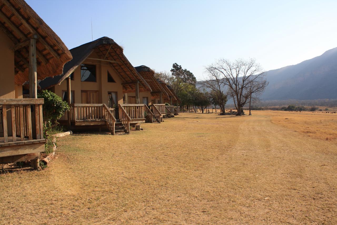 Villa Wildside Safari Camp à Golders Green Chambre photo