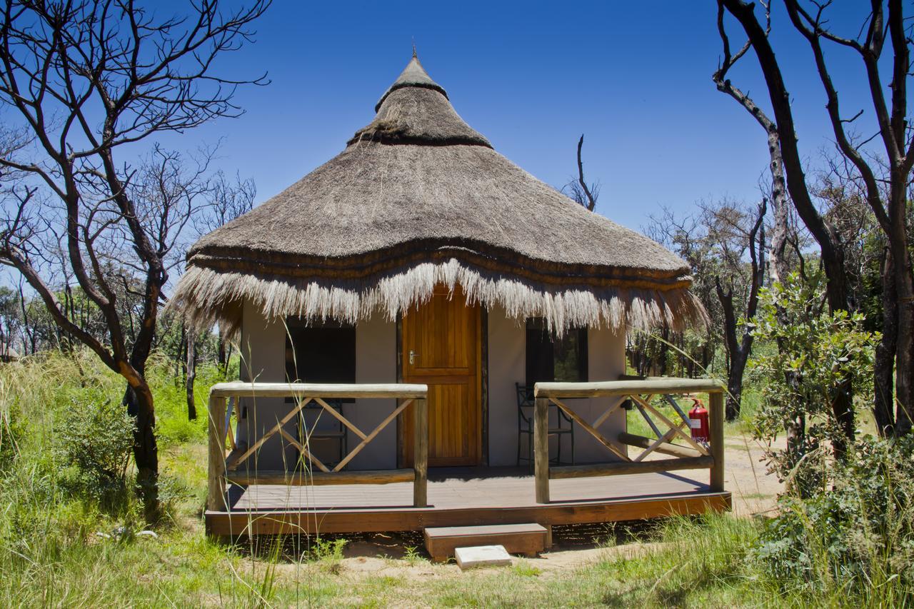 Villa Wildside Safari Camp à Golders Green Extérieur photo