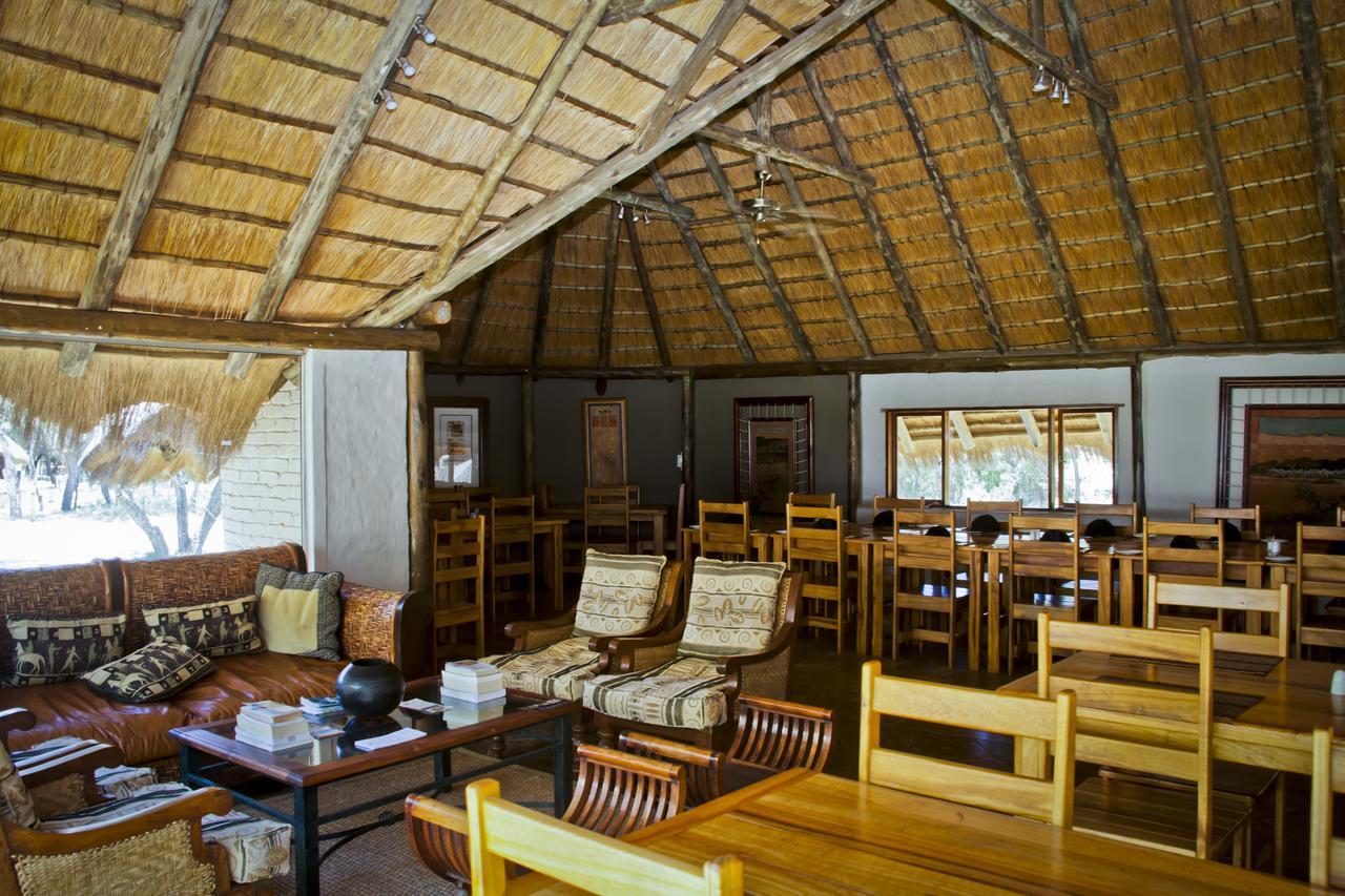 Villa Wildside Safari Camp à Golders Green Extérieur photo