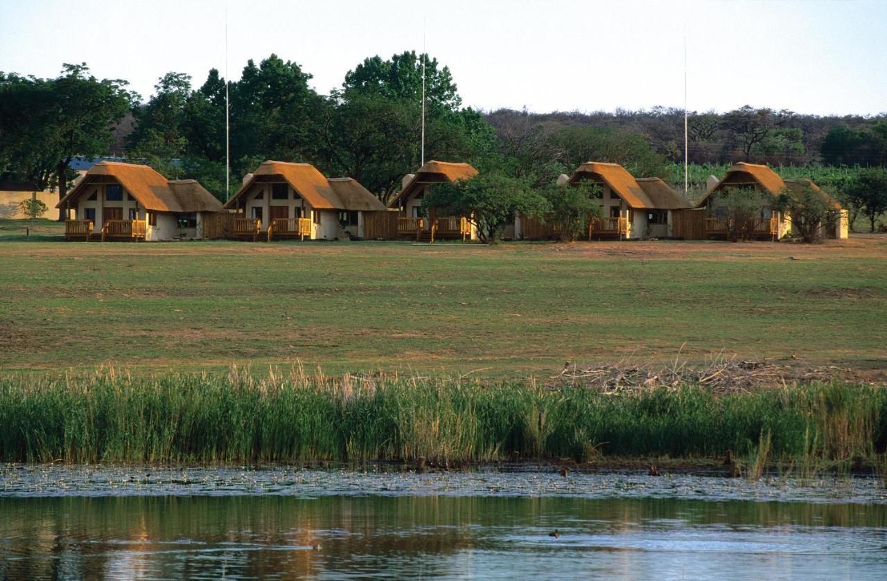 Villa Wildside Safari Camp à Golders Green Extérieur photo